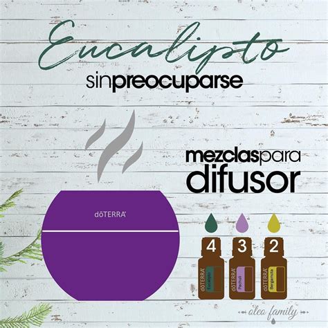 Eucalipto El Aceite Del Bienestar Empieza El Lunes Sinpreocuparse