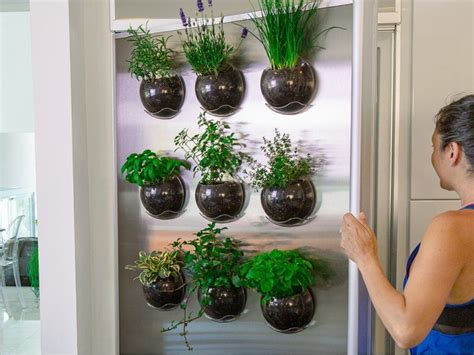 Indoor Window Herb Garden By Urbz Get Growing The Grommet Window