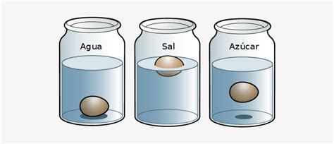 10 Ejemplos Ejemplos De Experimentos De Los Estados De La Materia Vrogue