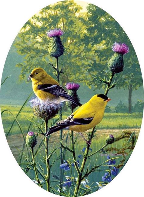 Pintura Moderna Y Fotografía Artística Coloridas Aves Silvestres En