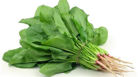 Jun 15, 2021 · resep tumis bayam. Punya Banyak Khasiat, Ini 17 Manfaat Sayur Bayam bagi ...