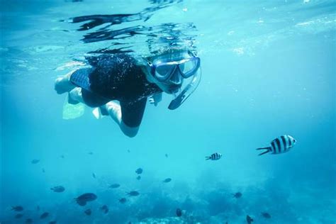 Diving Zanzibar | Snorkeling Zanzibar | Zanzibar