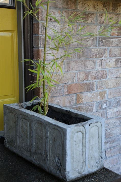 We did not find results for: DIY concrete planter. Detailed instructions and molds for ...