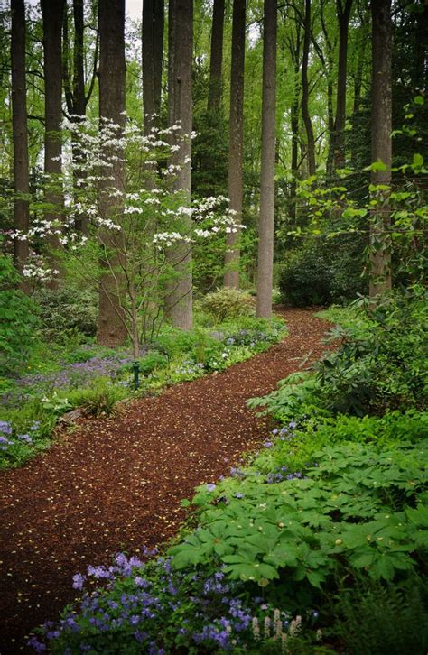 Woodland Path By Karl Gercens Garden Paths Forest Landscape Paths