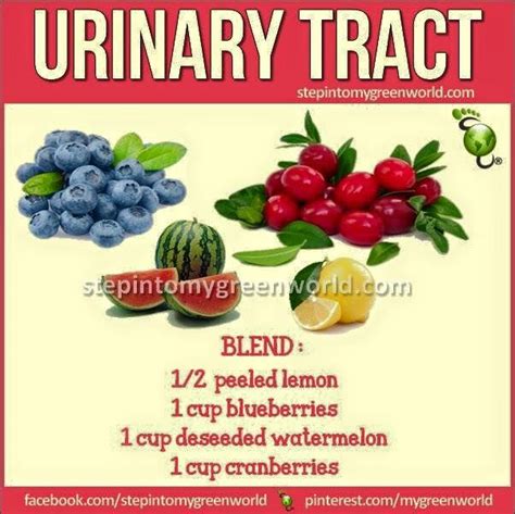 By Popular Demand Again Urinary Tract Step In My Green World Fruit Benefits Fruit
