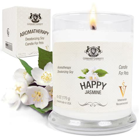 Choose from contactless same day delivery, drive up and more. Jasmine Pet Odor Eliminator Candle - Gerrard Larriett