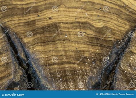 Background Of Exotic Wood Grain Stock Photo Image Of Dark Macro
