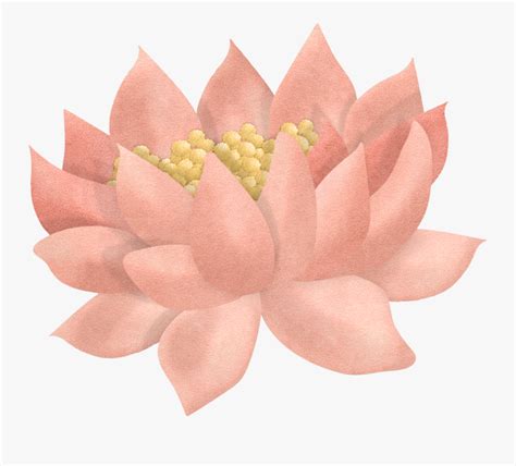 Lily Pad Flower Clipart Free Transparent Clipart Clipartkey