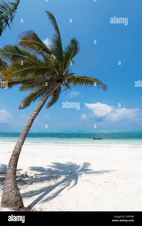 Zanzibar Hi Res Stock Photography And Images Alamy