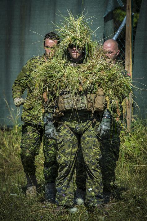 A Canadian Sniper Camouflages Himself With Natural Grass For Demonstration 2756 X 4141