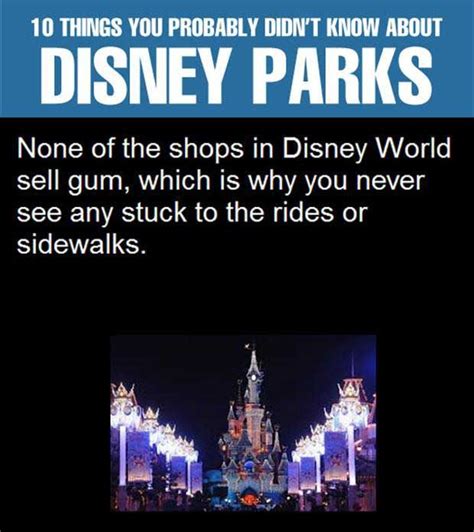 Top 10 Things You Probably Didnt Know About Disney Parks Life Hacks