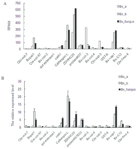 Relative Gene Expression A Expression Levels Of Genes In