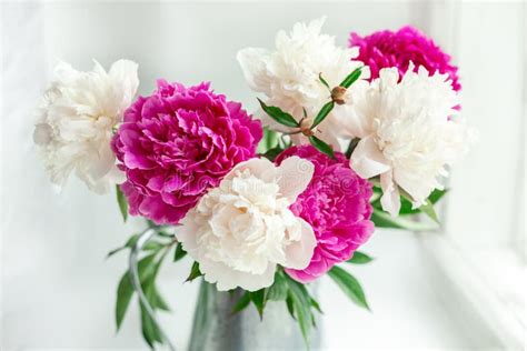 Bouquet Of Beautiful Peonies On The Windowsill Pink And White Peonies