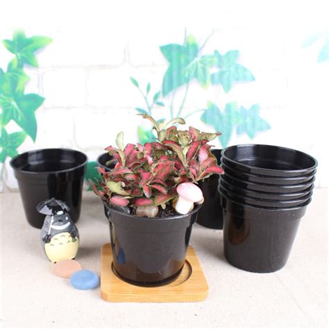 One of the most universally loved garden features is the container garden. Thicker Plastic Flower Pots Black Small Basin Nursery ...