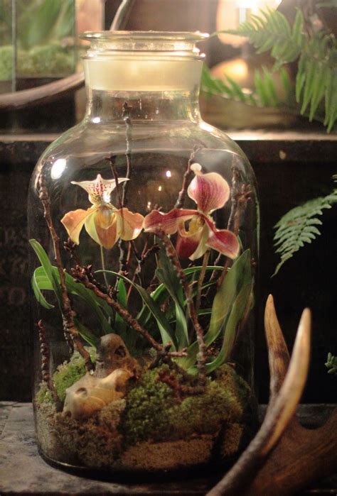 Terrariums Beautiful Enclosed Gardens You Can Build At Home House
