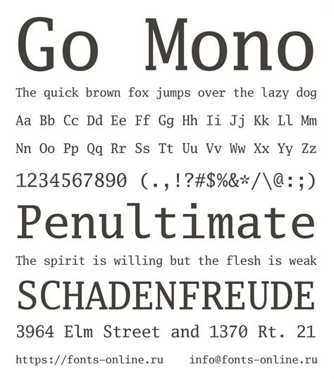Go Mono Font