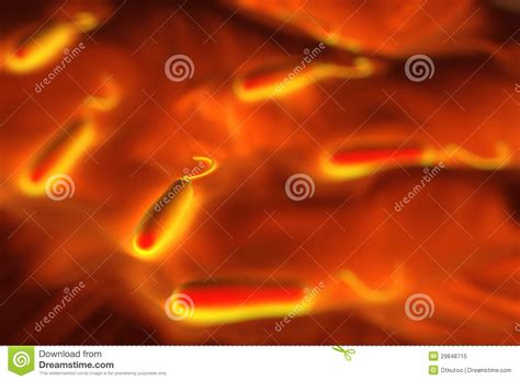 Gram-negative Rod-shaped Bacteria Royalty Free Stock Photo ...