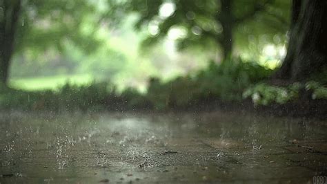 Slow Motion Spring Rain Falling On Cobblestone In A Park  On Imgur