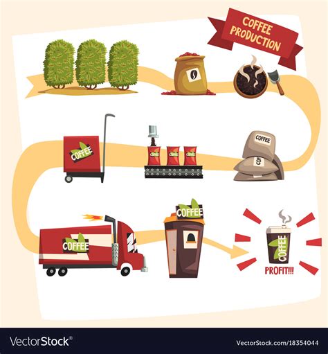 Coffee Production In Process Infographic Vector Image