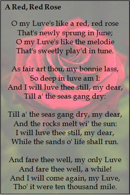 A Red Red Rose A Red Red Rose Poem By Robert Burns Rose Poems