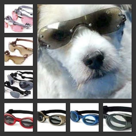 Protect Your Dogs Eye With Doggles Protective Dogs Dog Eyes Dog Life