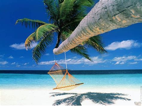 Relax In A Hammock On A Secluded Beach Wonders Of The World Rivie