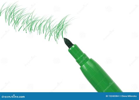 Green Marker Pen Stock Photo Image Of School Highlighter 15240384