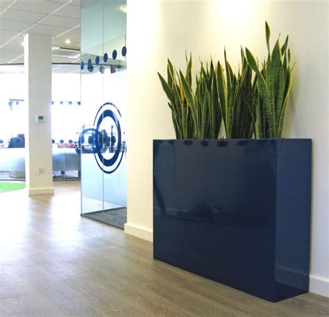 26 Best Barrier Plants In Offices Images On Pinterest
