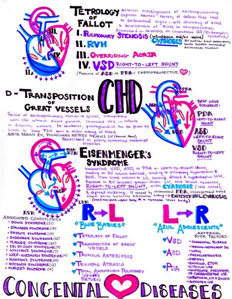Hansons Anatomy — Congenital Heart Defects Download All Of My