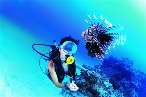 Absolut Diving, Phuket, Thailand - Divebooker.com