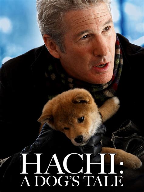 A dog's tale is a 2009 american drama film that is an adaptation of the 1987 japanese film hachikō monogatari. Akita Inu facts and other curiosities about the breed ...