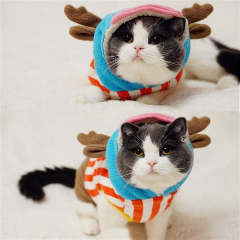 Cute Cats Costumes Fleece Kitten Hoodie Deer Cosplay For Pet Dog