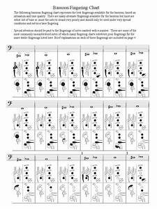 Bassoon Chart Bassoon Musical Instruments