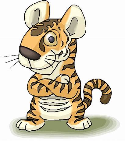 Clip Bible Tiger Study Clipart Bengal Truth