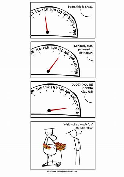 Scales Comics Funny Thedoghousediaries Jokes Humor Cartoons
