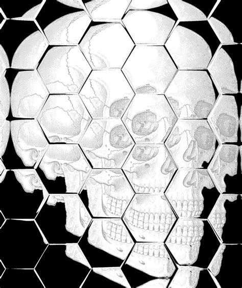 Vintage Skull Skeleton Creepy Digital Art By Sara Seeley Pixels