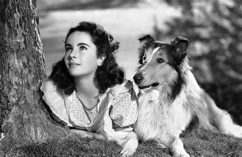 Elizabeth Taylor Lassie