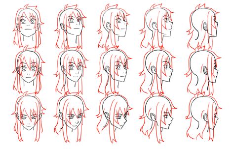 Anime Female Head Drawing Head Reference Model Ortho