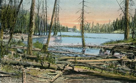 Maybe you would like to learn more about one of these? Mammoth Lakes and Surrounding Areas