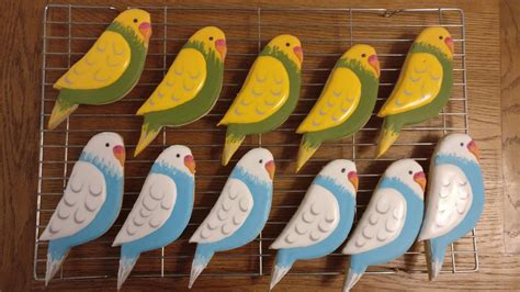 Decided To Learn Royal Icing Budgie Cookies Cookiedecorating
