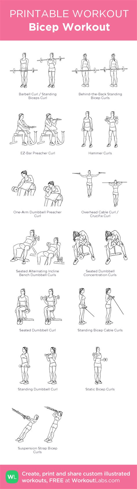 29 Fun Biceps Workout Chart Step By Step Pdf At Office Workout Life