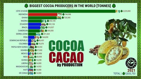 Biggest Cocoa Producers In The World Youtube