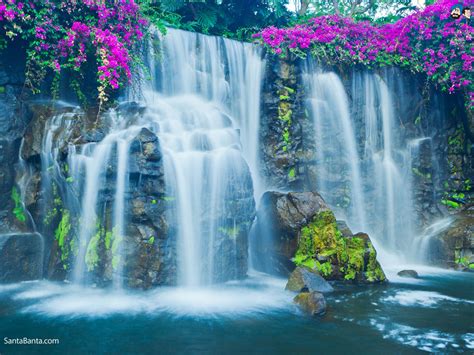 Free Download Beautiful Tropical Waterfalls Quotes Quotesgram 1024x768