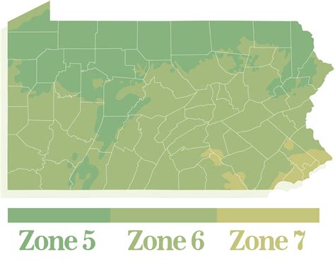 Embrace Your Planting Zone Visitpa