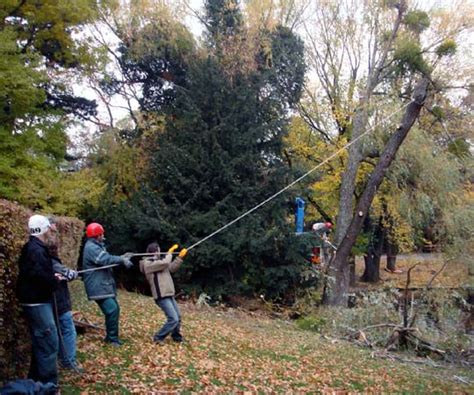 (2) der lehrbetrieb hat neben dem allgemeinen teil zumindest einen schwerpunkt zu vermitteln. BIC.at - Garten- und Grünflächengestaltung ...