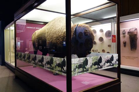 Chicago Field Museum Exhibits Img Bahadur