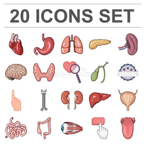 Human Organs Set Icons In Black Style Big Collection Of Human Organs