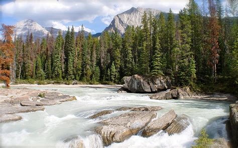 Kicking Horse Mountain Forest Rocks River Clouds Hd Wallpaper