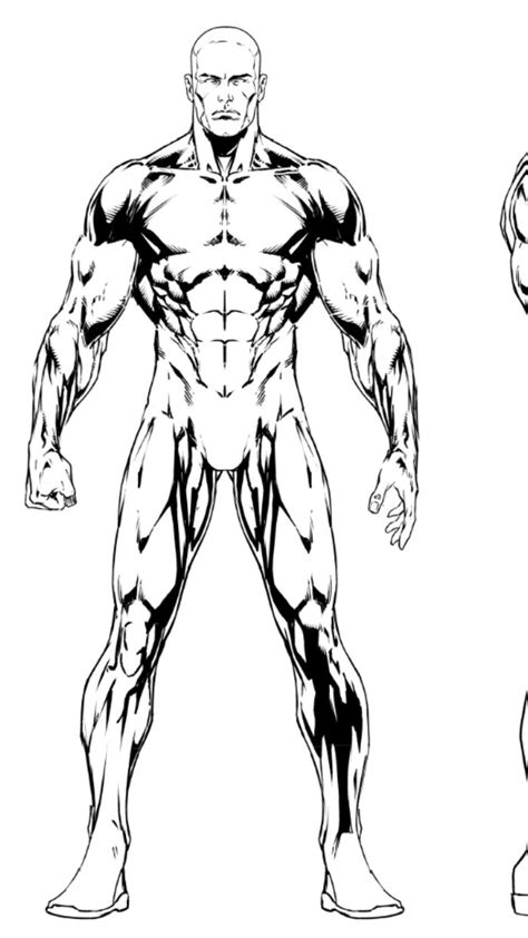 pin by jphillinmyself on figure drawing anatomy drawing human anatomy drawing comic book drawing