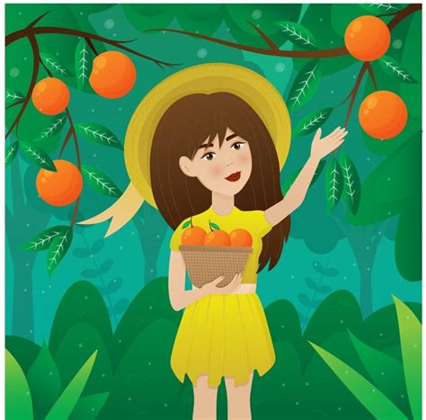 Premium Vector Girl Picking Oranges From A Tree